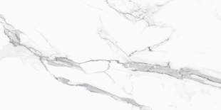Керамогранит NT Ceramic Infinity Statuario арт. NTT9125M (60x120) матовая